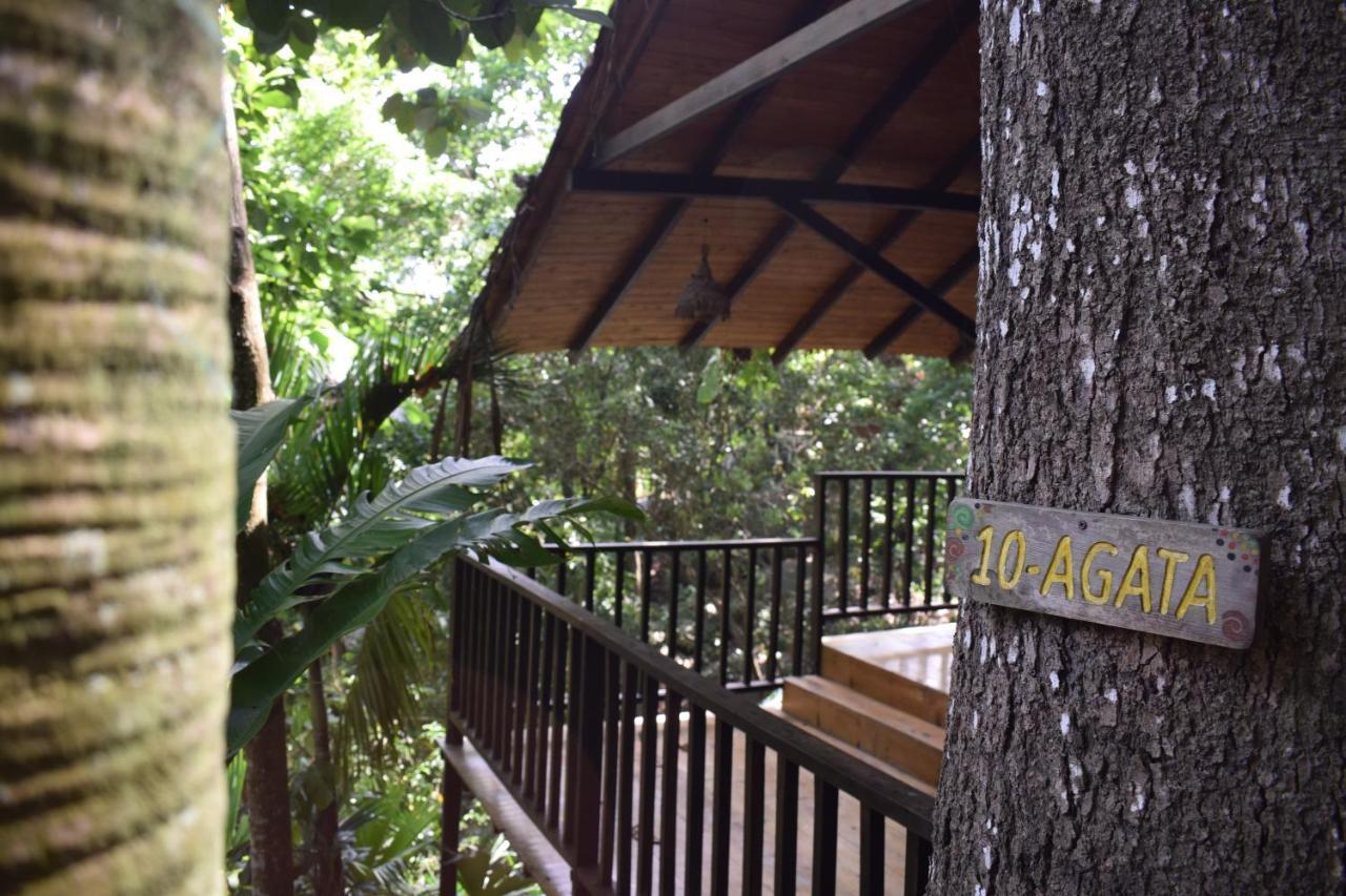 Ecohostal Rio Piedra El Zaino Exterior photo